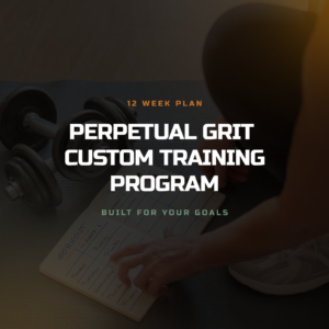 Custom Fitness Program